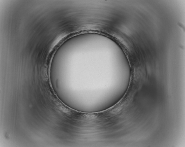 X0000099300878200805021229