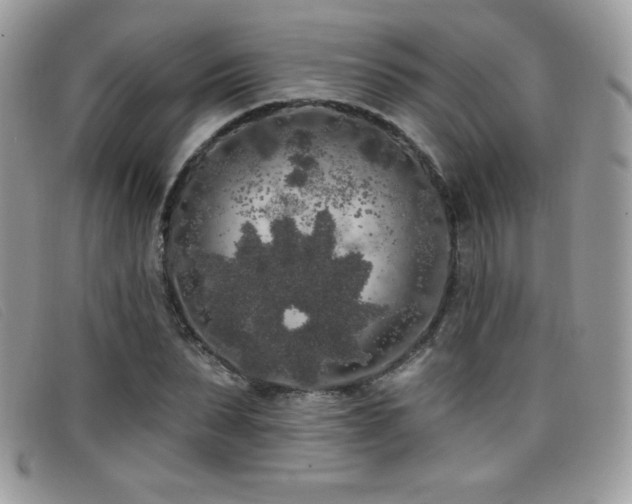 X0000099300879200805021229