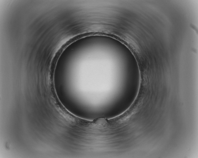 X0000099300880200805021229