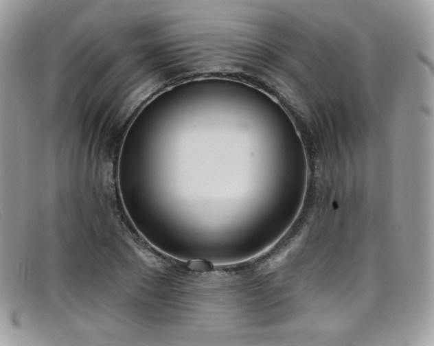 X0000099300881200805021229