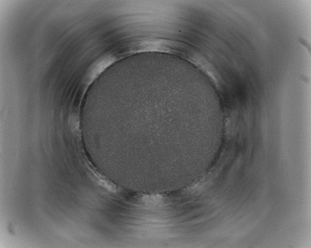 X0000099300882200805021229