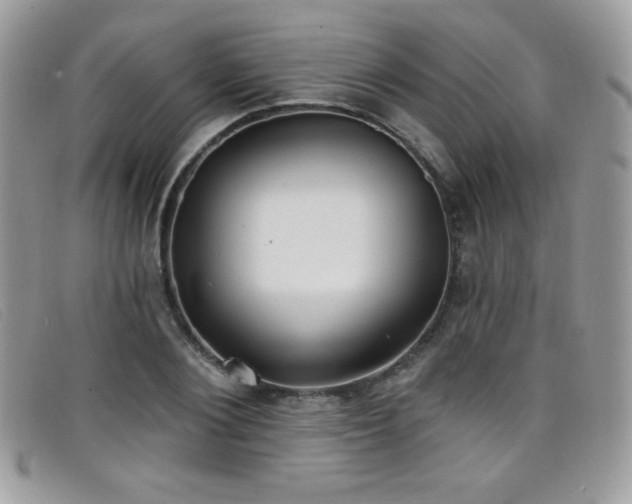 X0000099300884200805021229