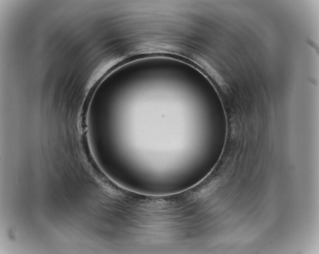 X0000099300885200805021229