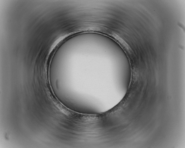 X0000099300886200805021229