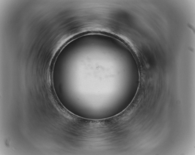 X0000099300887200805021229