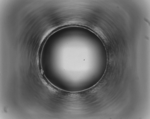 X0000099300888200805021229