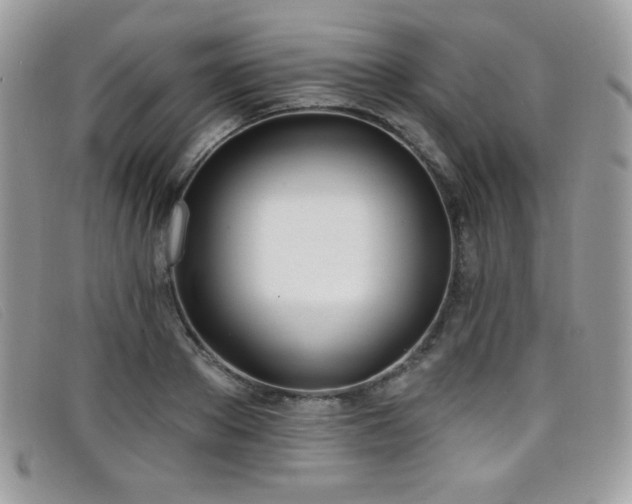 X0000099300889200805021229