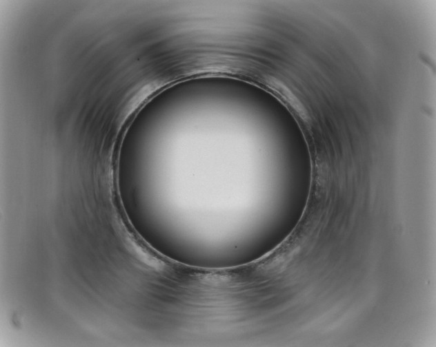 X0000099300890200805021229