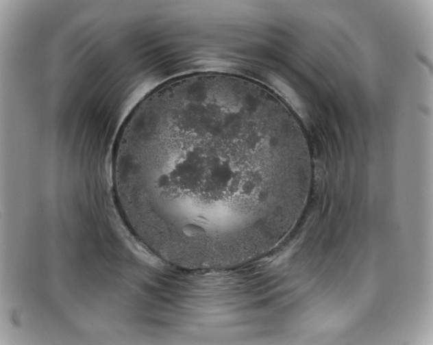 X0000099300891200805021229