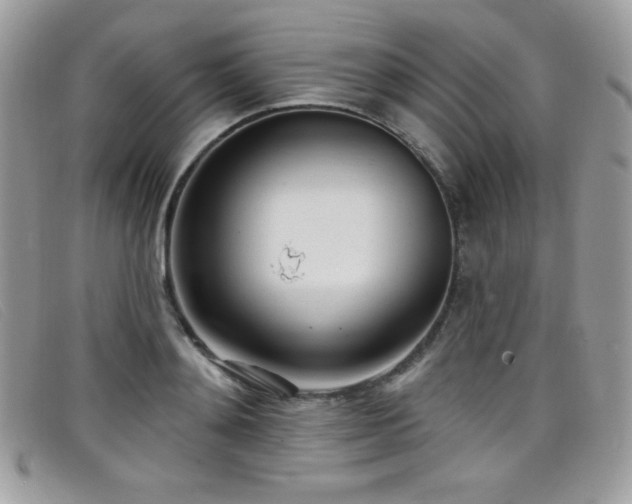 X0000099300892200805021229