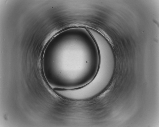 X0000099300893200805021229