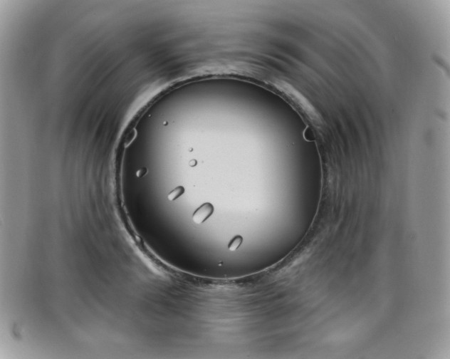 X0000099300894200805021229