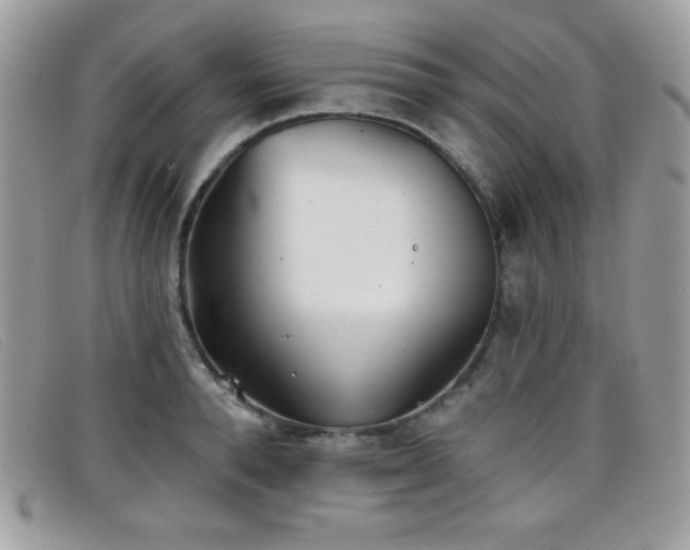 X0000099300896200805021229