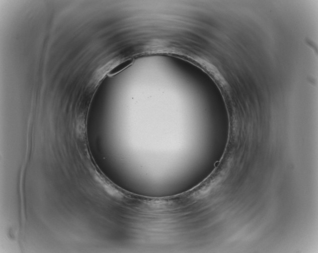 X0000099300897200805021228