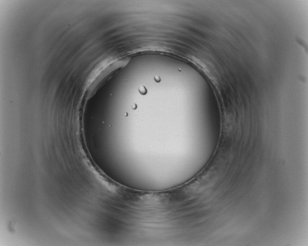 X0000099300898200805021228