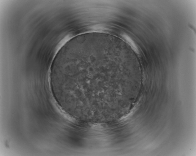 X0000099300899200805021228