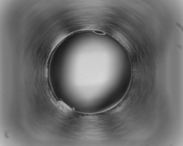 X0000099300900200805021228