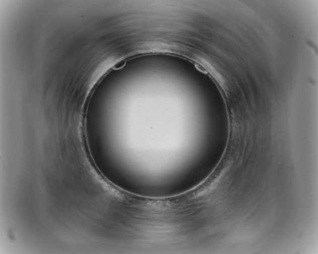 X0000099300901200805021228