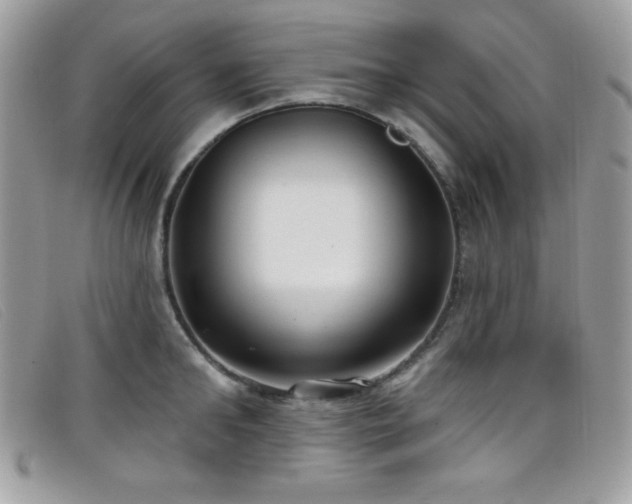 X0000099300902200805021228