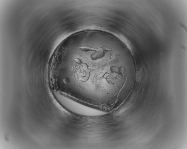 X0000099300903200805021228