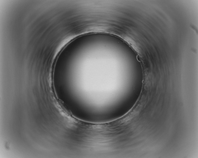 X0000099300904200805021228