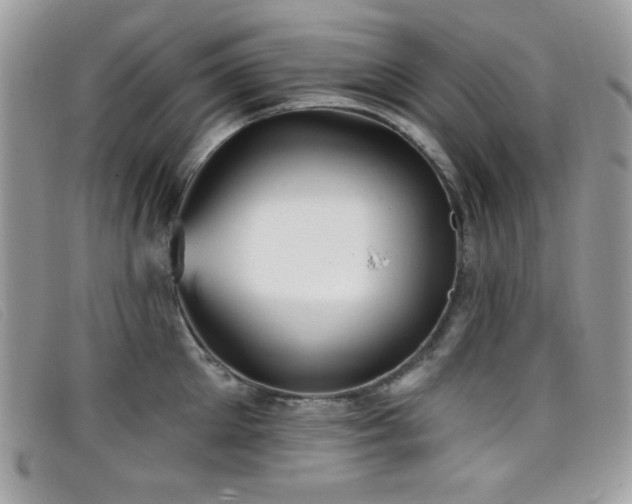 X0000099300905200805021228