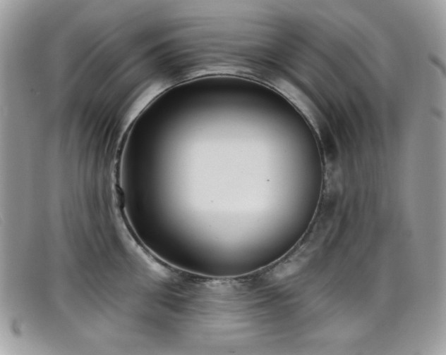 X0000099300906200805021228