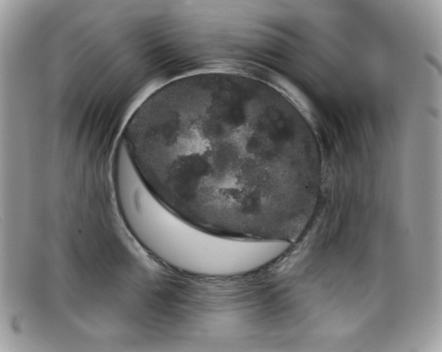 X0000099300907200805021228