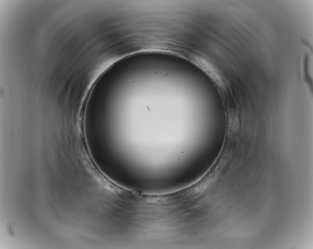 X0000099300908200805021228