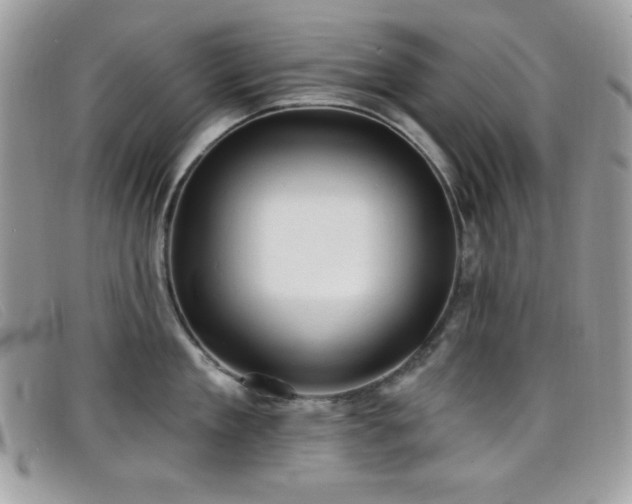 X0000099300909200805021228