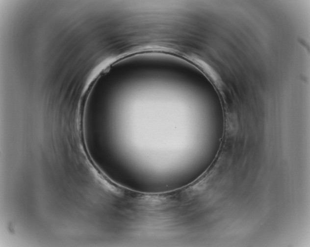 X0000099300910200805021228