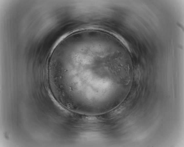 X0000099300911200805021228