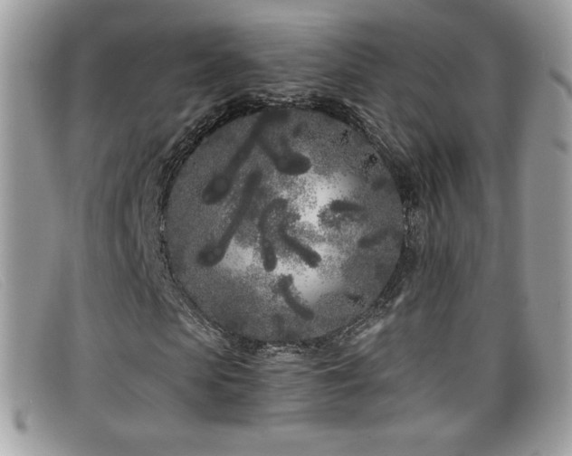 X0000099300913200805021228