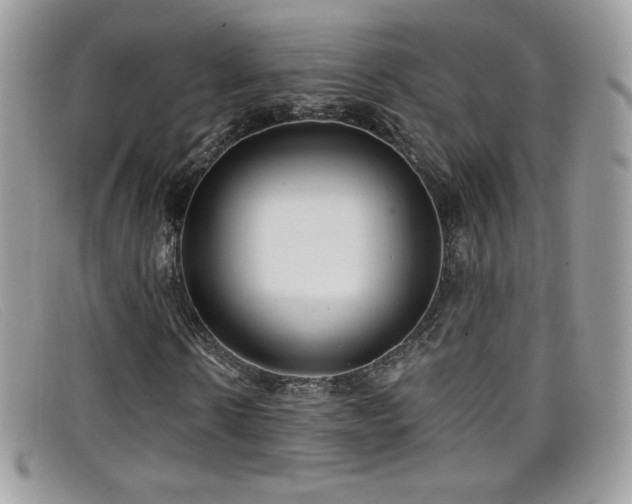 X0000099300914200805021228