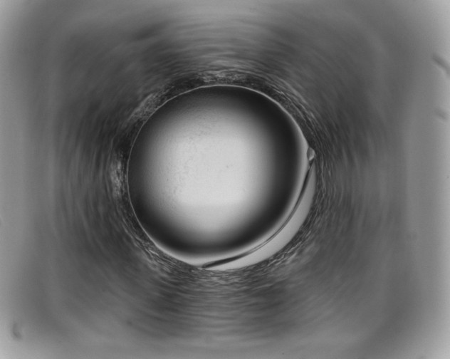 X0000099300915200805021228