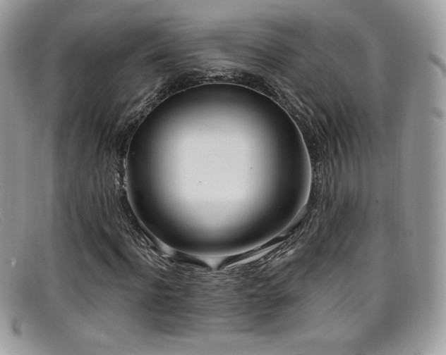 X0000099300916200805021228