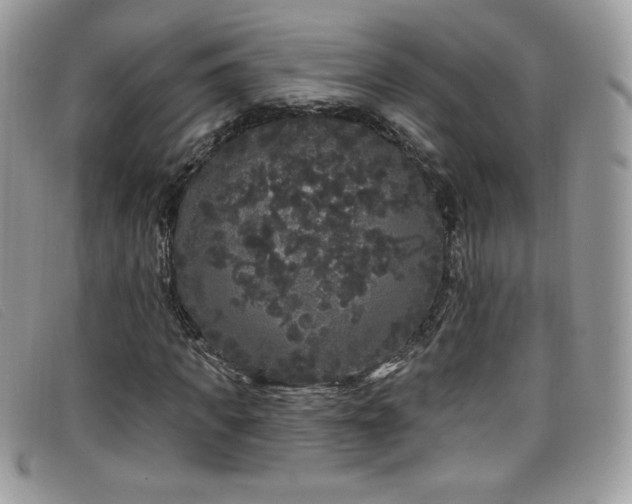 X0000099300917200805021228