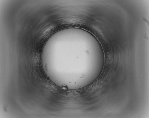 X0000099300918200805021228