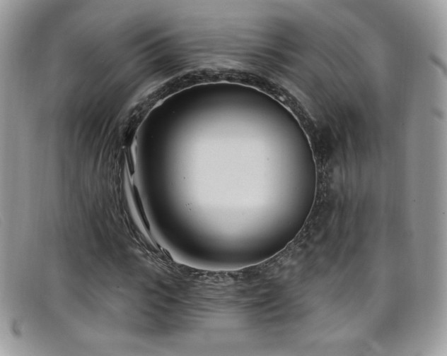 X0000099300919200805021228