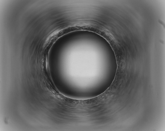 X0000099300920200805021228