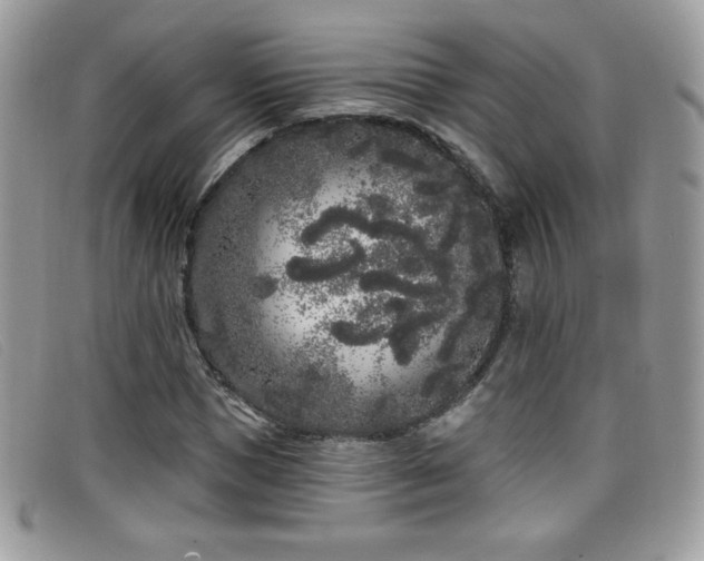 X0000099300921200805021228