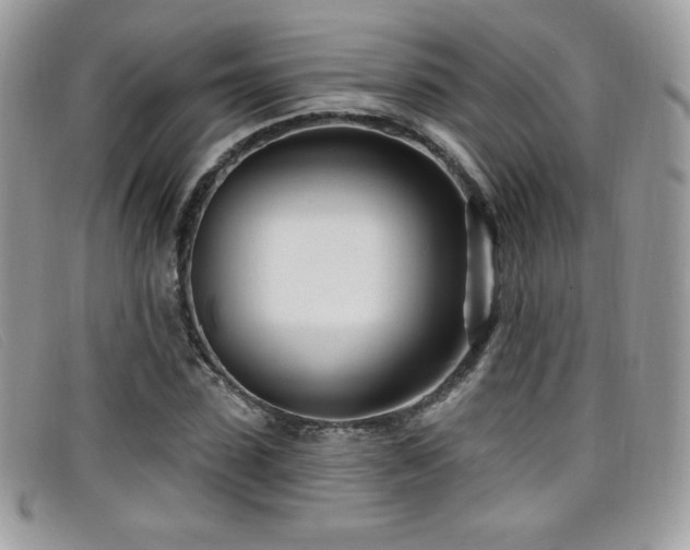 X0000099300923200805021228