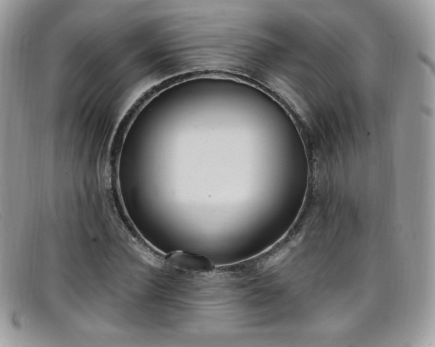 X0000099300924200805021228