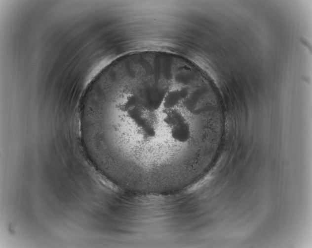 X0000099300925200805021228