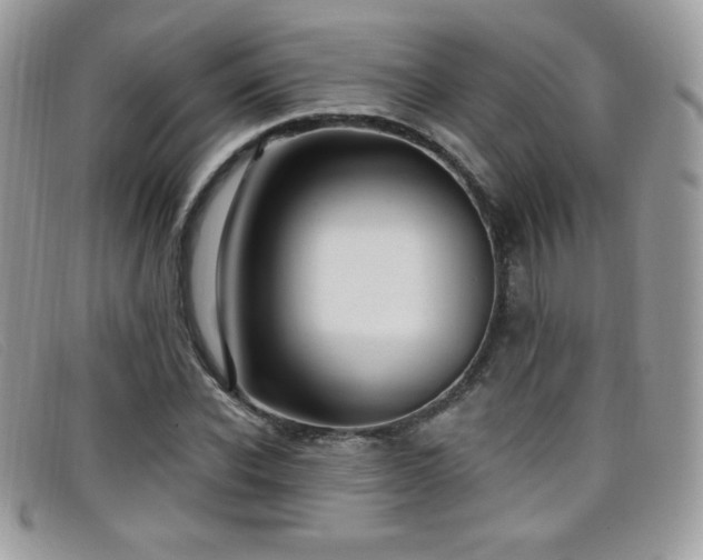 X0000099300926200805021228