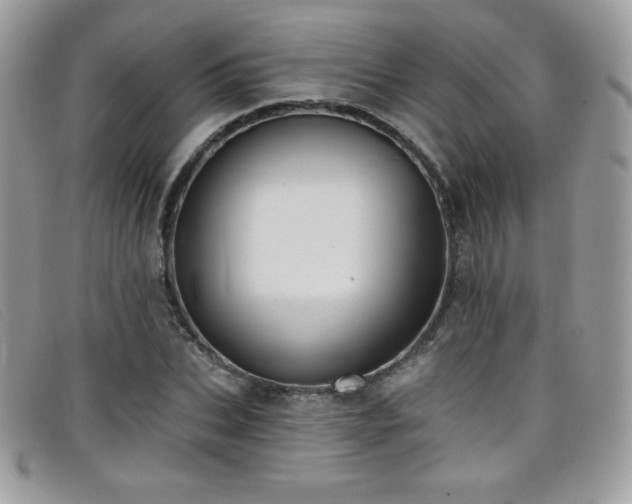 X0000099300927200805021228