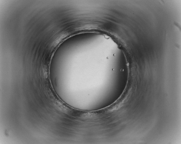 X0000099300929200805021228