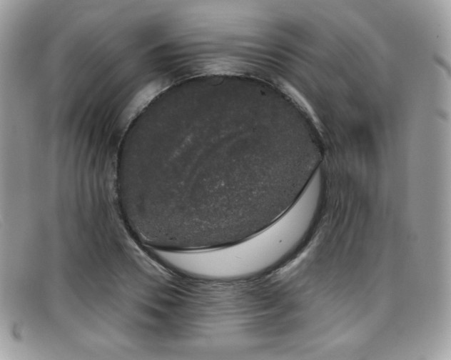 X0000099300930200805021228