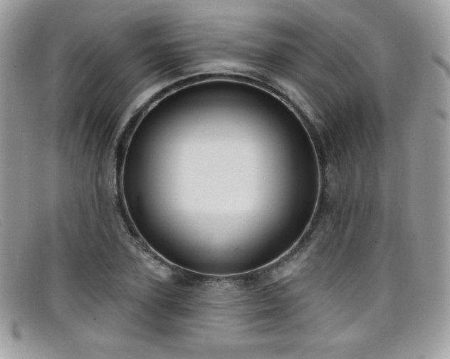 X0000099300931200805021228