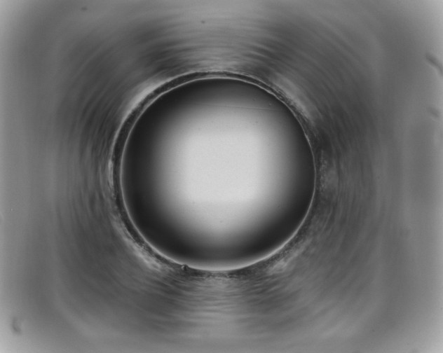 X0000099300932200805021228